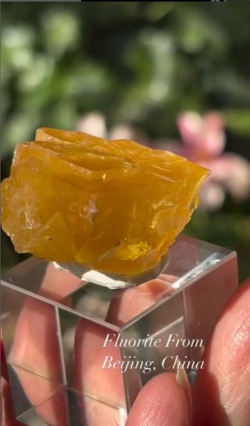 画像4: フローライト　北京 中国産 (4)