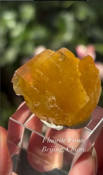 画像3: フローライト　北京 中国産 (3)