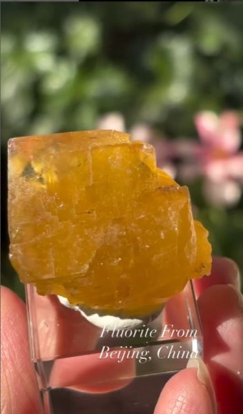 画像2: フローライト　北京 中国産 (2)