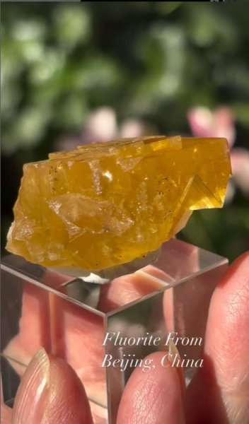 画像5: フローライト　北京 中国産 (5)