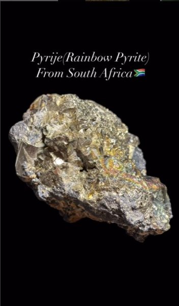 画像2: パイライト(レインボーパイライト) シュンガイト共生　南アフリカ産 (2)