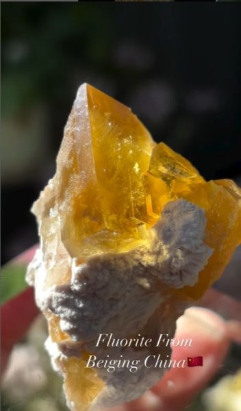 画像3: 母岩付きフローライト　中国産 (3)