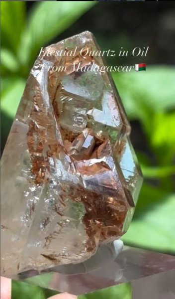 画像4: エレスチャル クォーツ オイル入り マダガスカル産 (4)