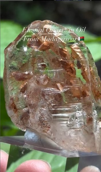 画像3: エレスチャル クォーツ オイル入り マダガスカル産 (3)