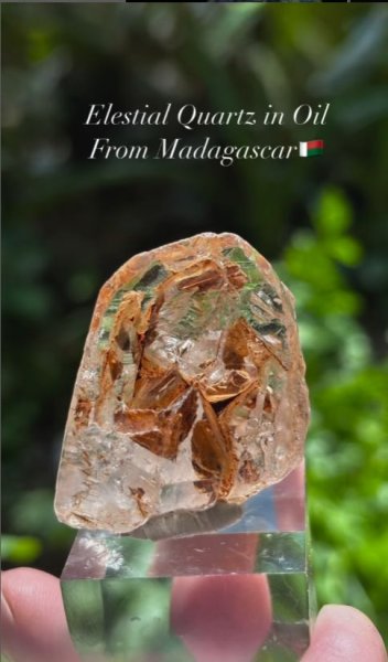 画像2: エレスチャル クォーツ オイル入り マダガスカル産 (2)