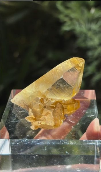 画像2: ヒマラヤ水晶 ゴールデンヒーラー　スカルドゥ パキスタン産 (2)