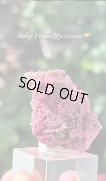 画像3: tentennsan様専用 (2025/06/14ライブ配信) (3)