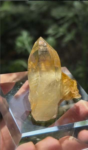 画像3: ヒマラヤ水晶 ゴールデンヒーラー　スカルドゥ パキスタン産 (3)