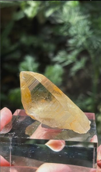 画像4: ヒマラヤ水晶 ゴールデンヒーラー　スカルドゥ パキスタン産 (4)