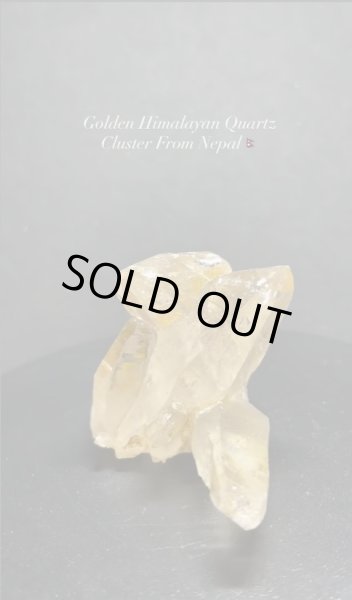 画像3: ゴールデンヒマラヤンクォーツクラスター　ネパール産 (3)