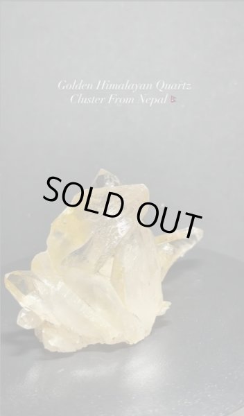画像4: ゴールデンヒマラヤンクォーツクラスター　ネパール産 (4)