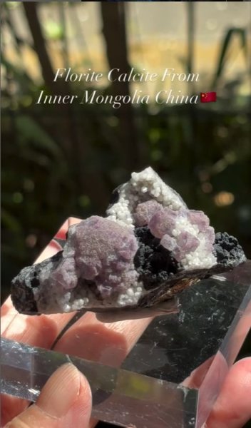 画像4: フローライト、カルサイト、パイライト共生　内モンゴル自治区 中国産 (4)