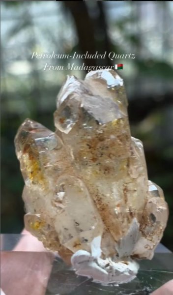 画像5: オイルイン水晶　マダガスカル産 (5)