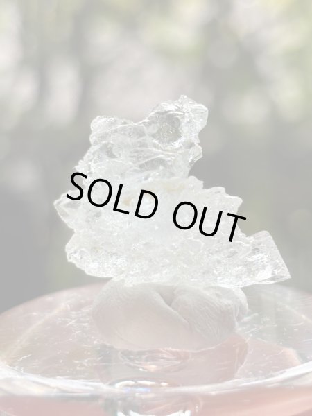 画像2: kuromanta_pyramid様専用 (2025/09/06 ライブ配信) (2)