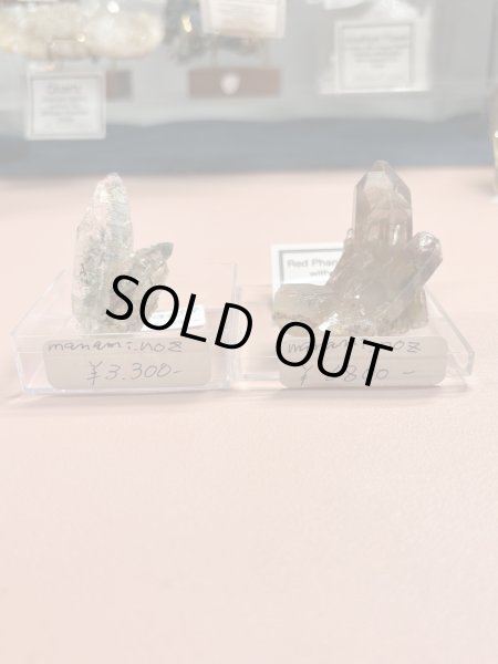 画像1: manami.noz様専用 (2025/09/06 ライブ配信) (1)