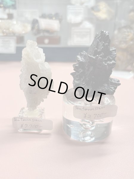 画像1: tentennsan様専用 (2025/09/06 ライブ配信) (1)