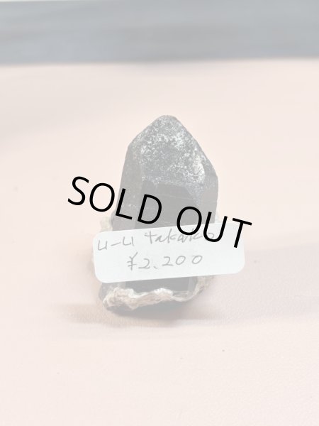 画像1: u_u_takako様専用 (2025/09/13 ライブ配信) (1)