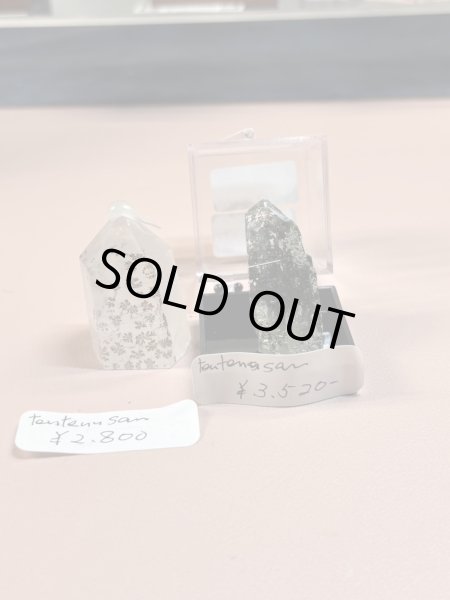 画像1: tentennsan様専用 (2025/09/13 ライブ配信) (1)