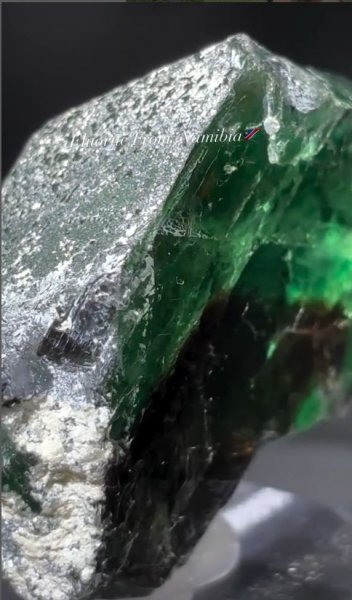 画像1: フローライト、トルマリン共生　エロンゴ ナミビア産 (1)