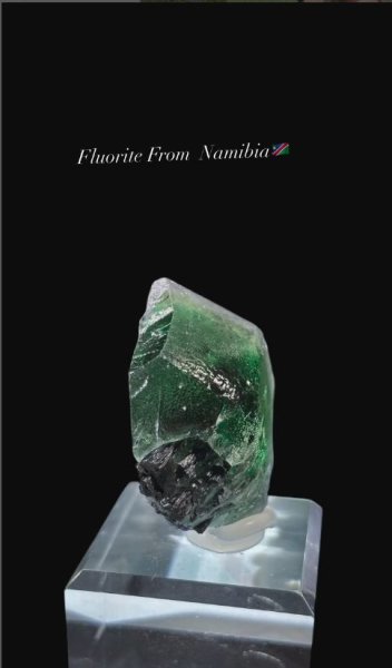 画像4: フローライト、トルマリン共生　エロンゴ ナミビア産 (4)