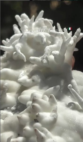 画像1: アラゴナイト　イタリア産 (1)