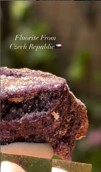 画像1: フローライト　チェコ共和国産 (1)