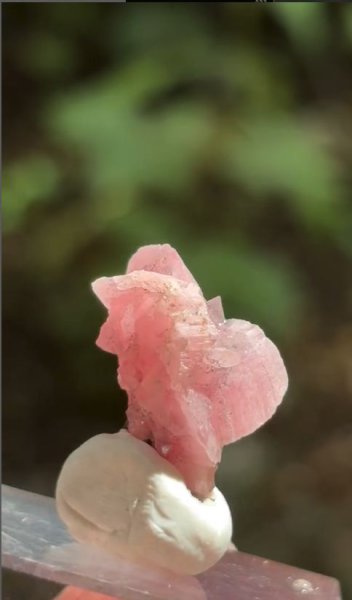 画像4: ロードクロサイト (菱マンガン鉱)　広西チワン族自治区 中国産 (4)