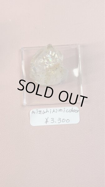 画像1: mizuhikimicchoco様専用 (2025/10/11 ライブ配信) (1)