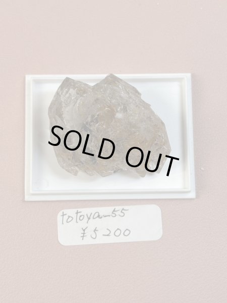 画像1: totoya＿55様専用 (2025/10/11 ライブ配信) (1)