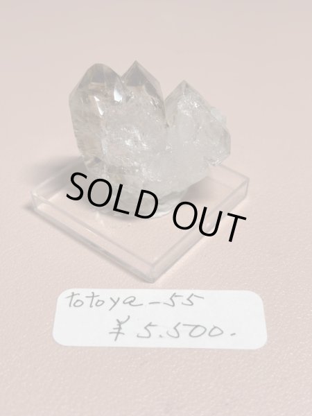 画像1: totoya＿55様専用 (2025/10/18 ライブ配信) (1)