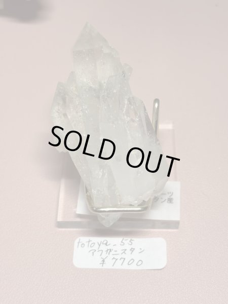 画像1: totoya_55様専用 (2025/11/01 ライブ配信) (1)