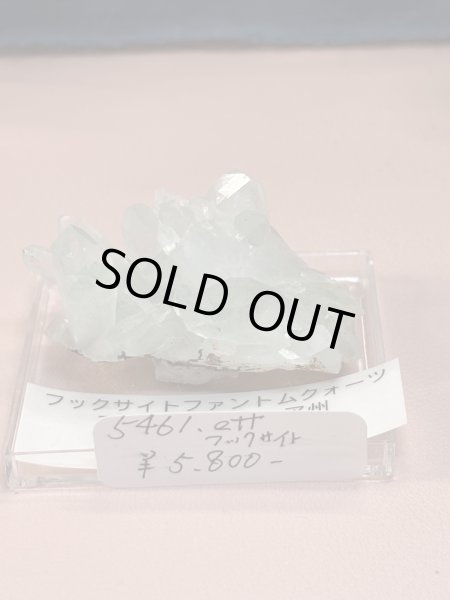 画像1: 5461.ett様専用  (2025/11/15 ライブ配信) (1)