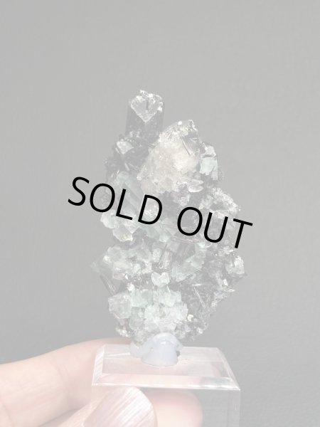 画像1: kiki07140808様専用  (2025/12/18 DM連絡) (1)