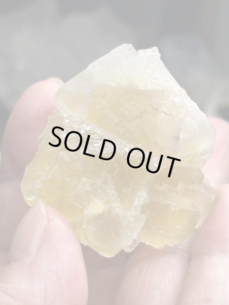 画像2: kuromanta_pyramid様専用  (2026/01/03 ライブ配信) (2)