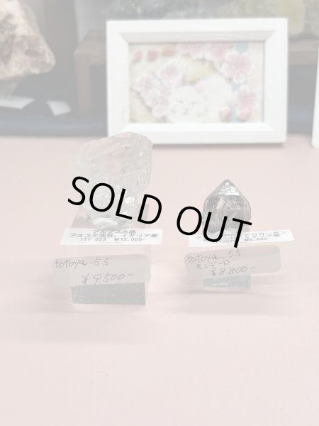 画像1: totoya＿55様専用  (2026/01/10 ライブ配信) (1)