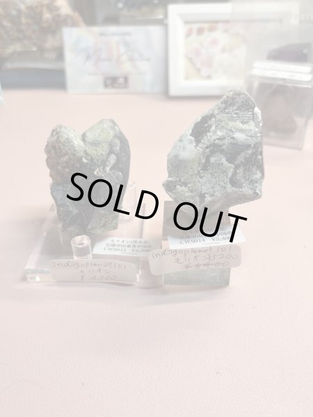 画像1: indigoplanet.101様専用  (2026/02/07 ライブ配信) (1)