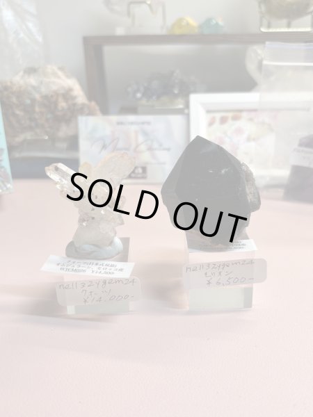 画像1: nell32ygem24様専用  (2026/02/07 ライブ配信) (1)