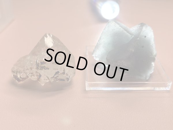 画像1: caocaolili023様専用  (2026/02/14 DM連絡) (1)