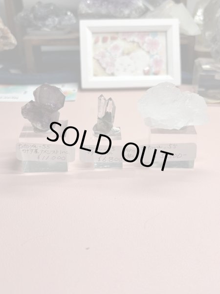 画像1: totoya_55様専用  (2026/02/28 ライブ配信) (1)