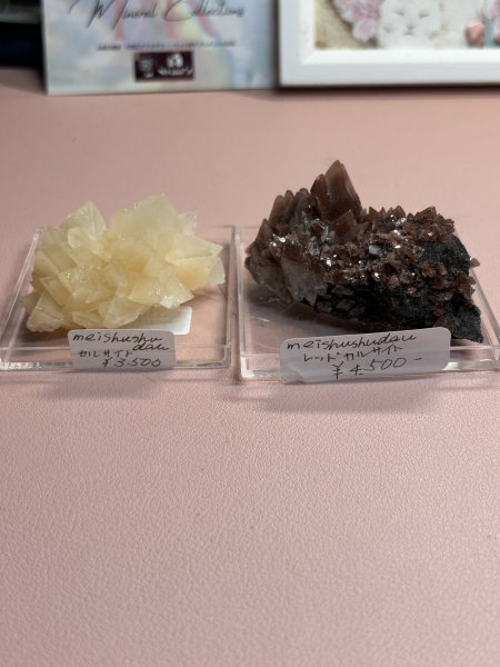 画像1: meishushuday様専用   (2026/03/07 ライブ配信) (1)