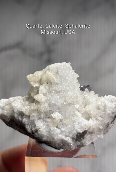 画像2: meishushuday様専用   (2026/03/07 ライブ配信) (2)