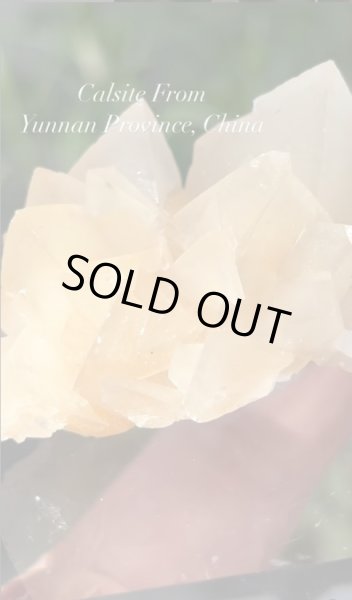 画像1: meishushuday様専用   (2026/03/07 ライブ配信) (1)