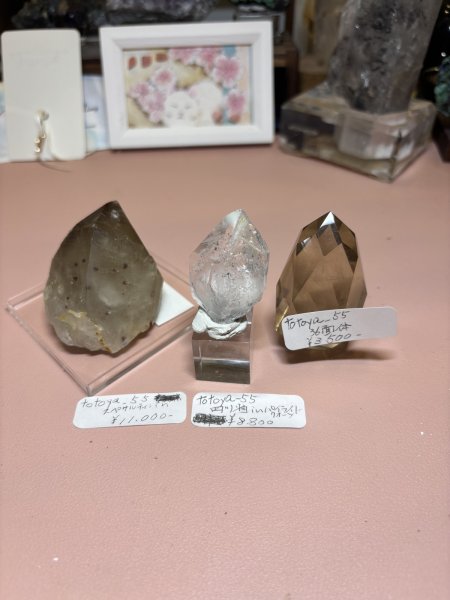 画像1: totoya_55様専用  (2026/03/28 ライブ配信) (1)