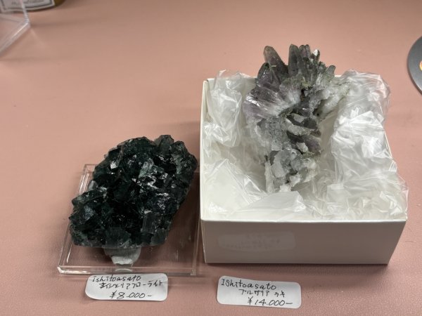 画像1: iskitoasato様専用 （2026/08/22 ライブ配信） (1)