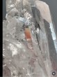 画像1: 水晶クラスター No.005　パキスタン・バローチスターン州・Zhob（ゾブ） (1)