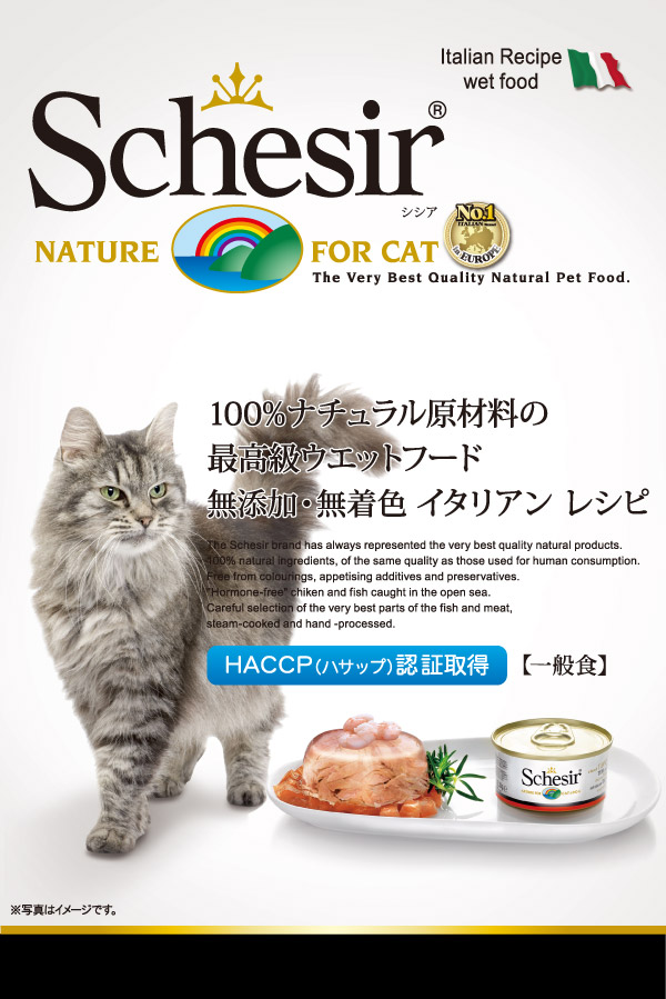 画像: イタリアンレシピ【Schesir シシア キャット　】販売開始です。