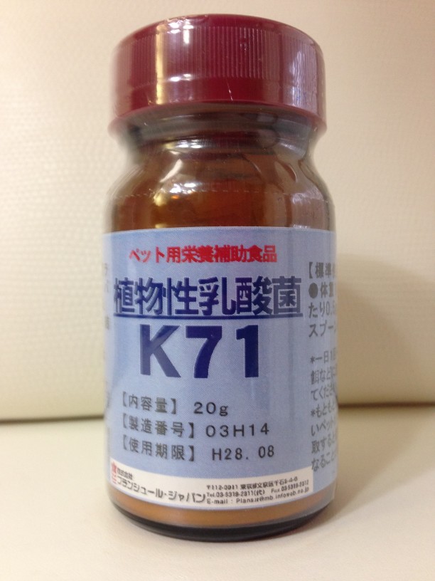 画像1: 植物性乳酸菌K71（ペット用栄養補助食品）【内容量：20g, 500g(粉末)】 (1)